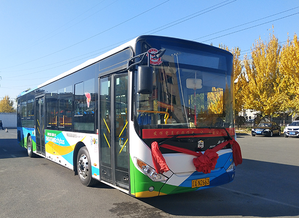 600 1.jpg